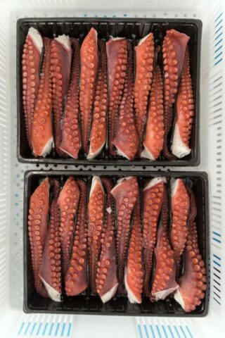 pfinales-01-cefalopodos-pata-pulpo-bandeja-02