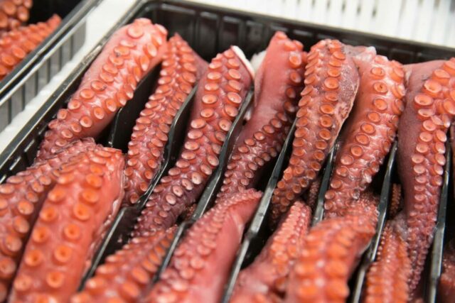 pfinales-01-cefalopodos-pata-pulpo-bandeja-03