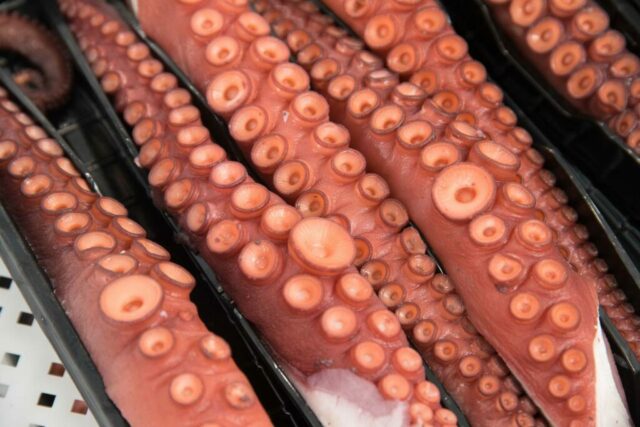 pfinales-01-cefalopodos-pata-pulpo-bandeja-04